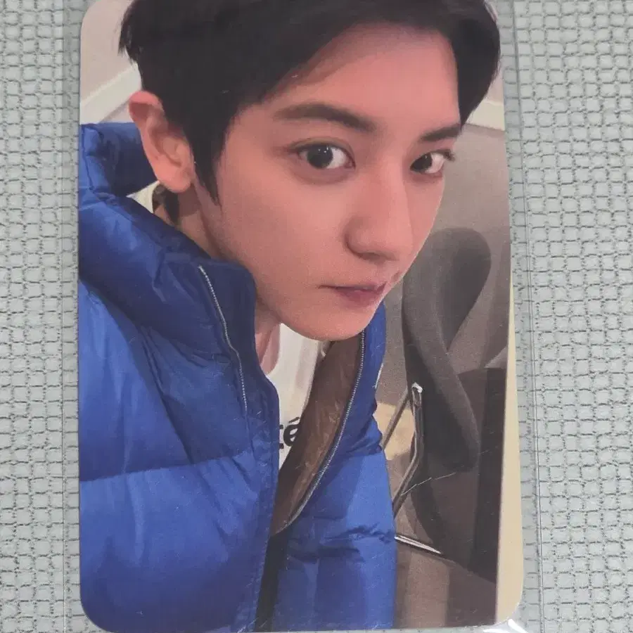 엑소 찬열 샤오망 팬싸 특전 포카 미공포 1