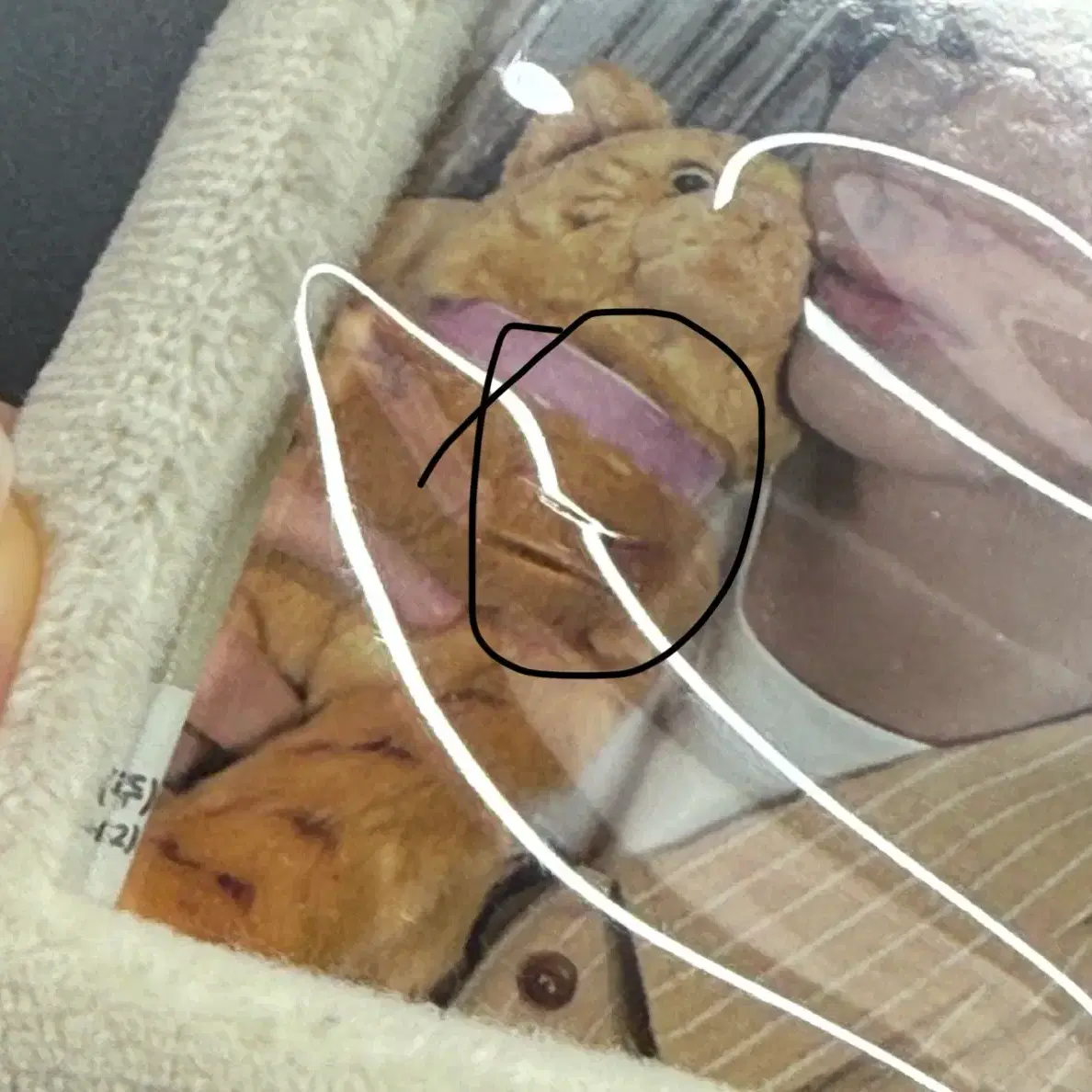 쁘넥도 캣삐 포카홀더 성호 보이넥스트도어 포카 3