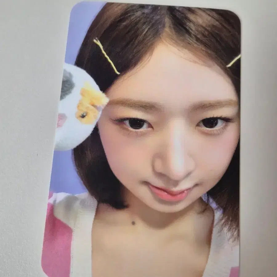 IVE 아이브 에버랜드 포토패스 입장포카 레이
