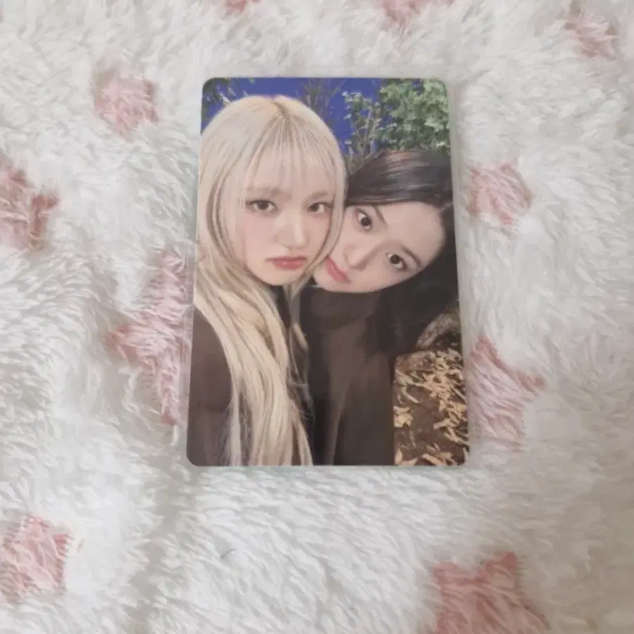 아이브 리즈 유진 스카우트 유닛 포카