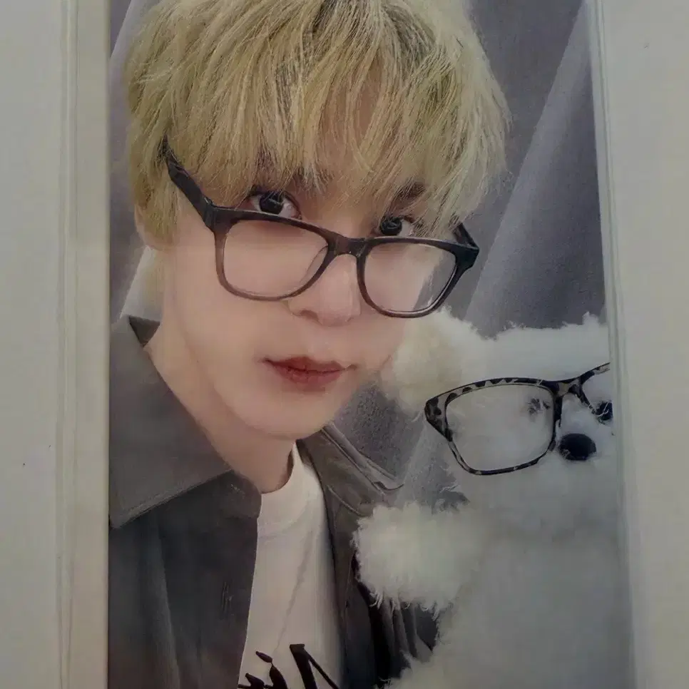 에이티즈 메이크스타  윤호 포카 교환