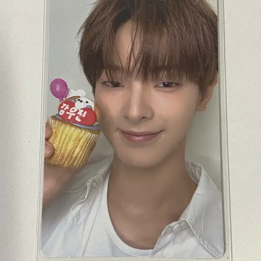 강우진 보플 포카