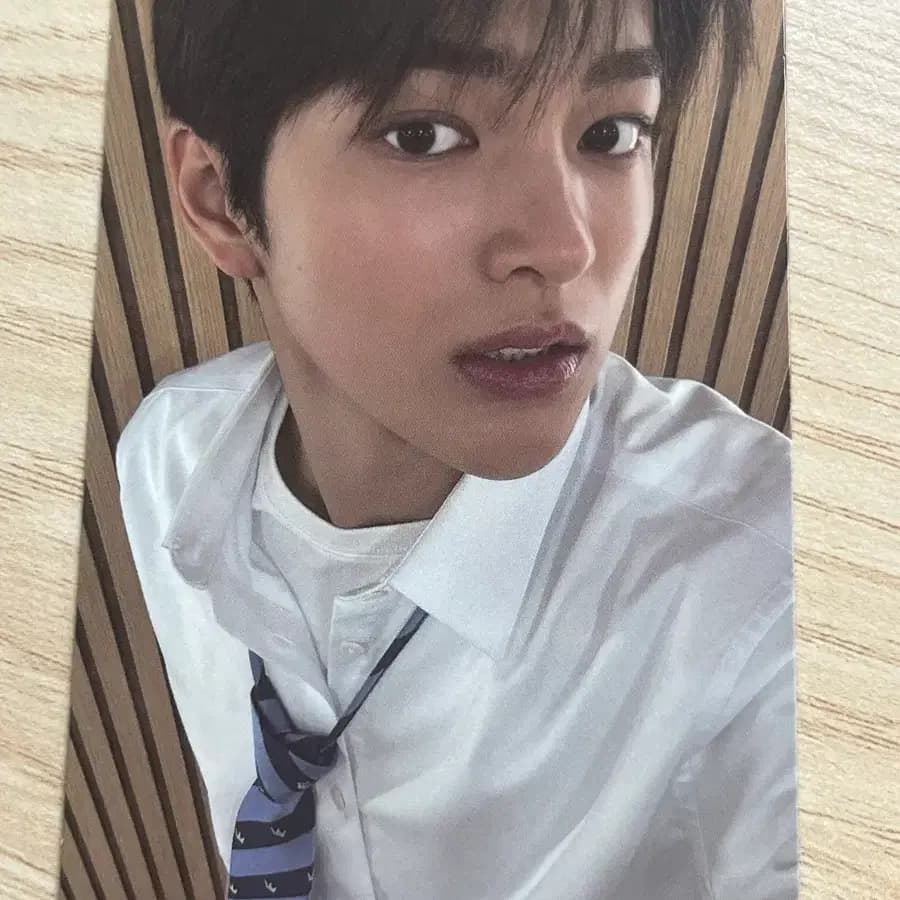 코르티스 그린그린 건호 엠투유 미공포 포카 1