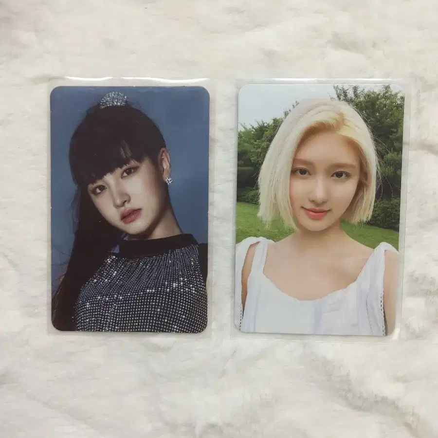 아이브 애프터 라이크 리즈 가을 포카 판매합니다