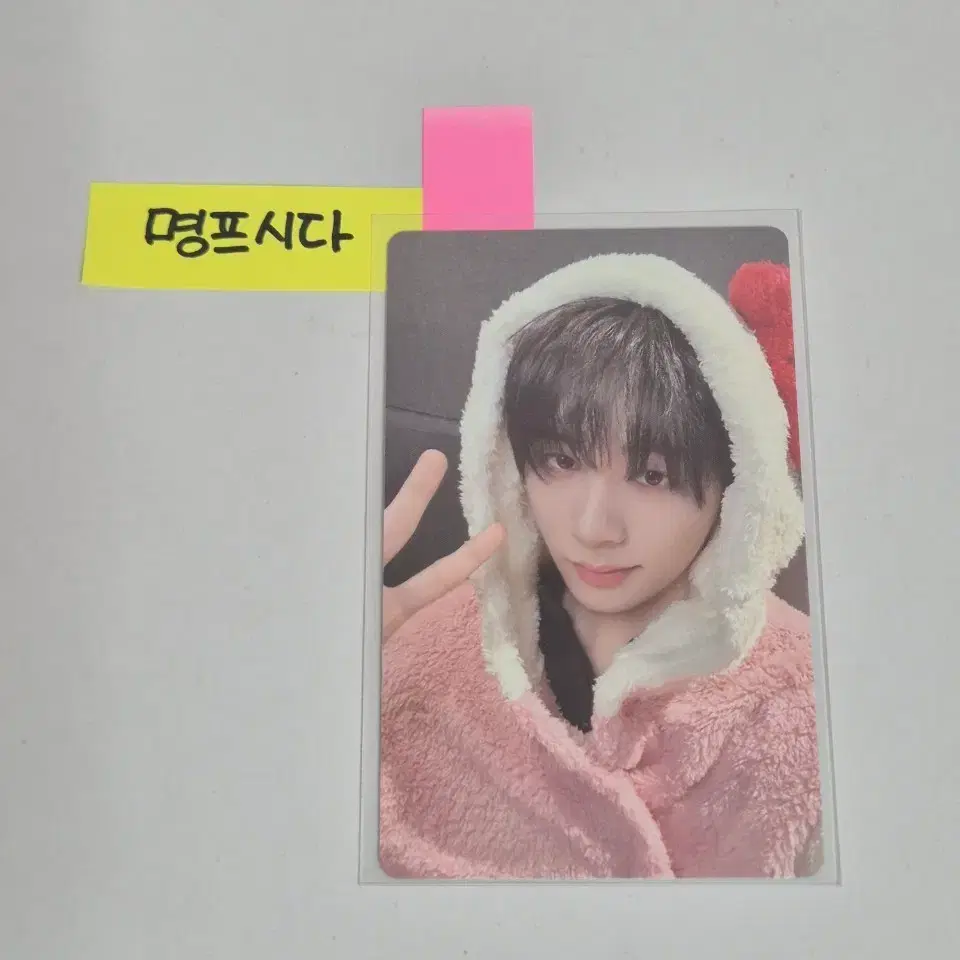 보넥도 태산 키티 특전 양도 1