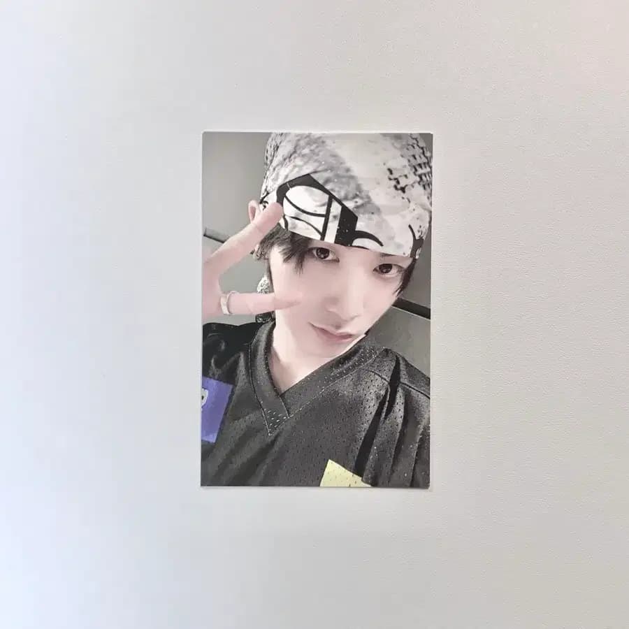 쁘넥도 팝업 특전 보넥도 태산 포카 양도 1