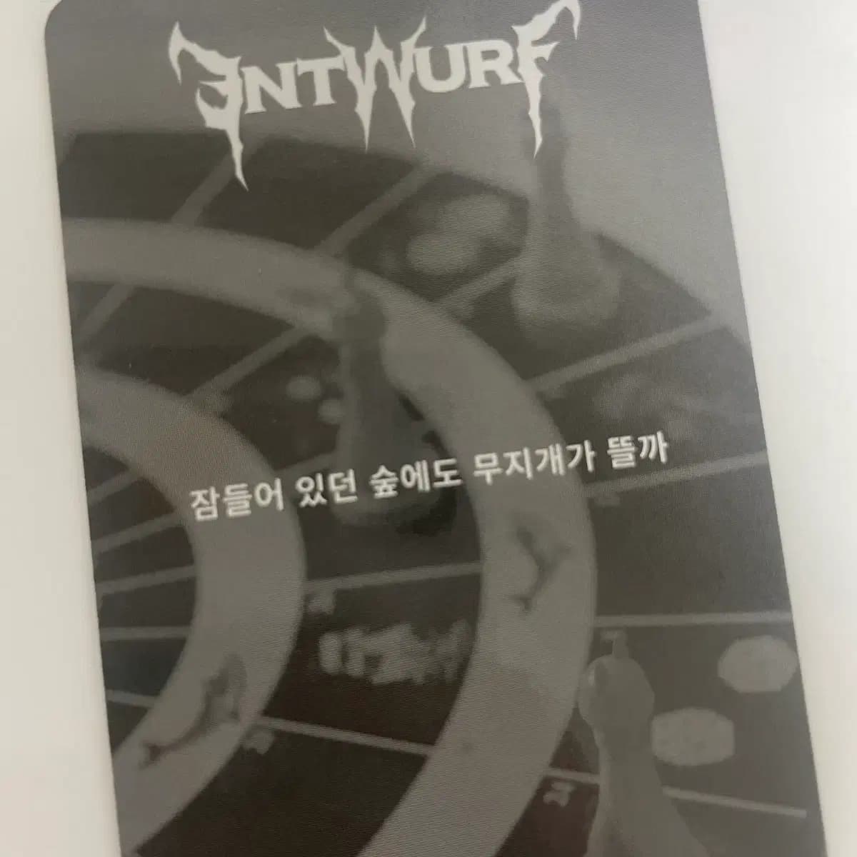 엔믹스 설윤 ENTWURF 포토카드 판매 2