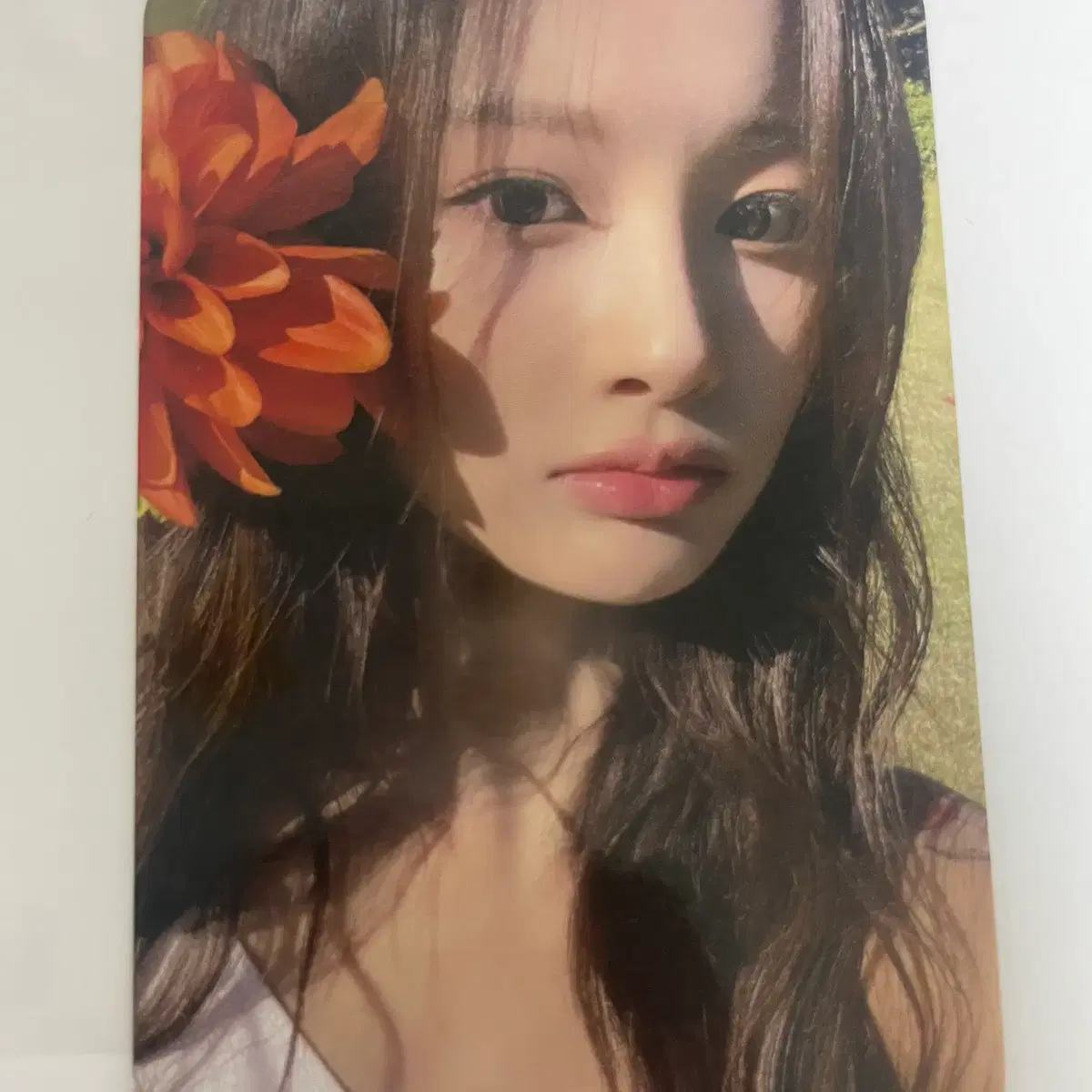 엔믹스 설윤 EXPERGO 사운드웨이브 특전 포토카드 판매 1
