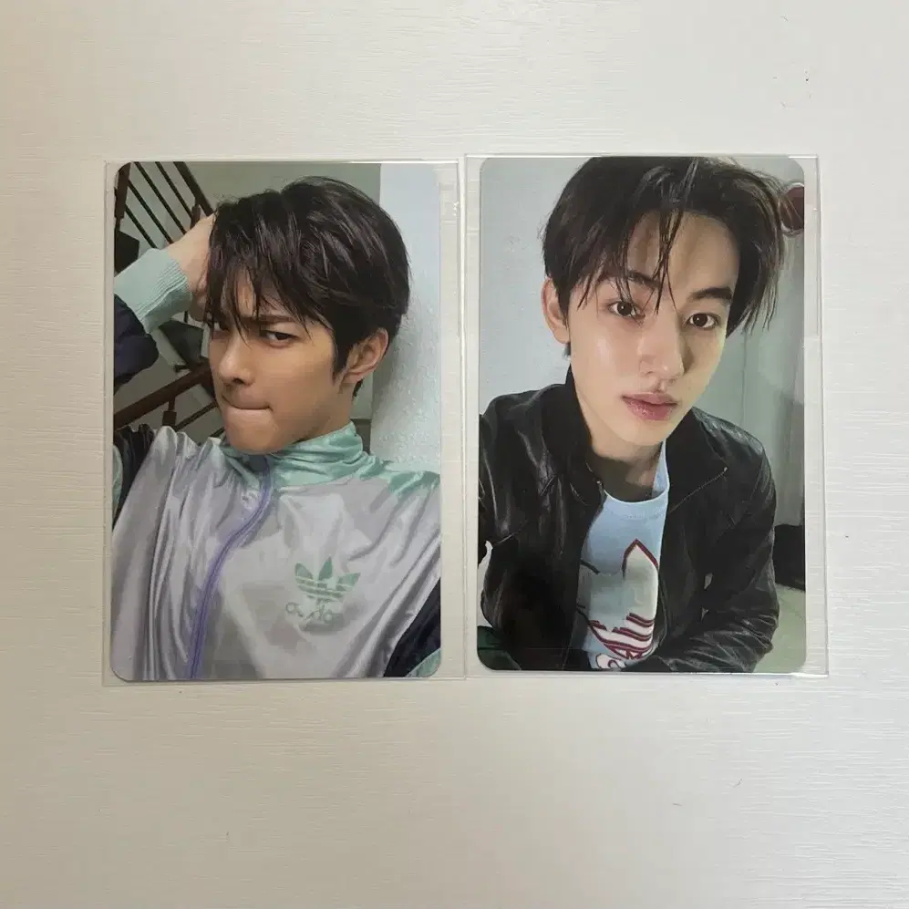 코르티스 성현,건호 포카 교환 / 헬로라이브 1