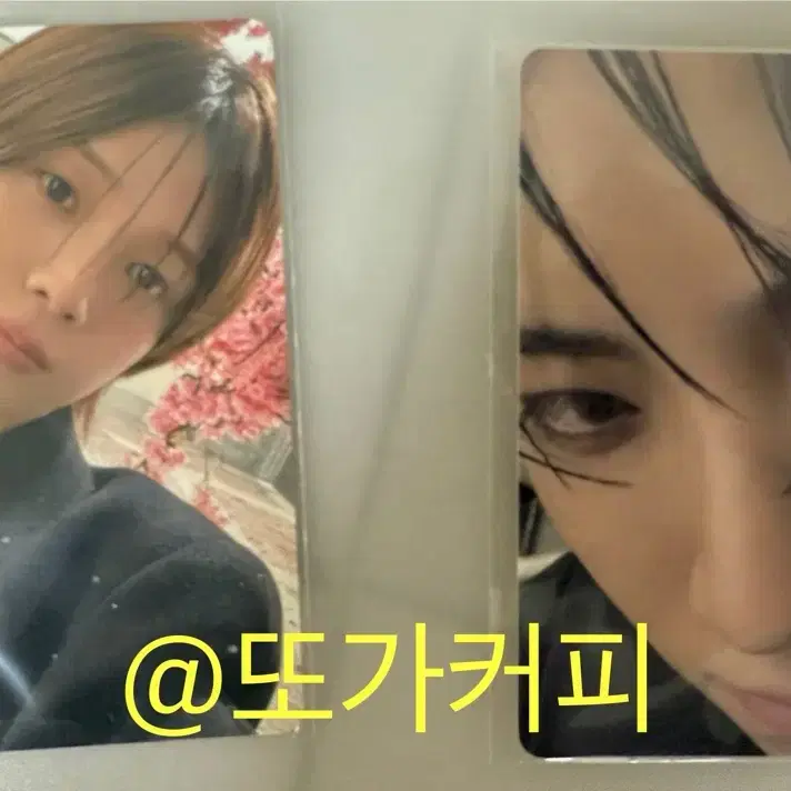 [앤팀포카+덤]케이 유키아카리+유마 고인블 고인블라인드 개인반 2