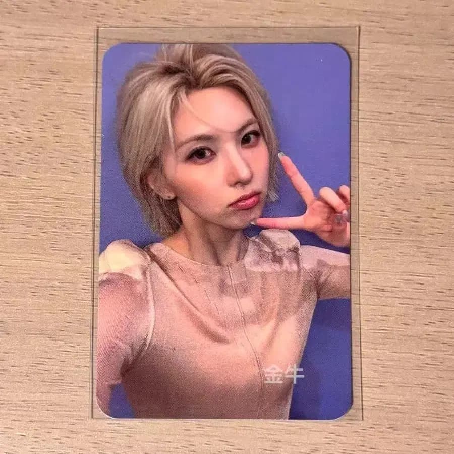 예판 엔믹스 마닐라 입장 포카 1