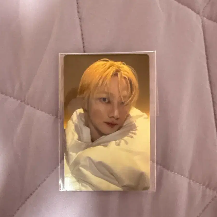 보넥도 위버스 2차 럭드 성호 포카