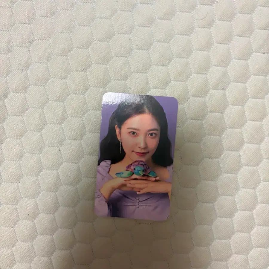 레드벨벳 예리 2019 시즌그리팅 포토카드 양도합니다