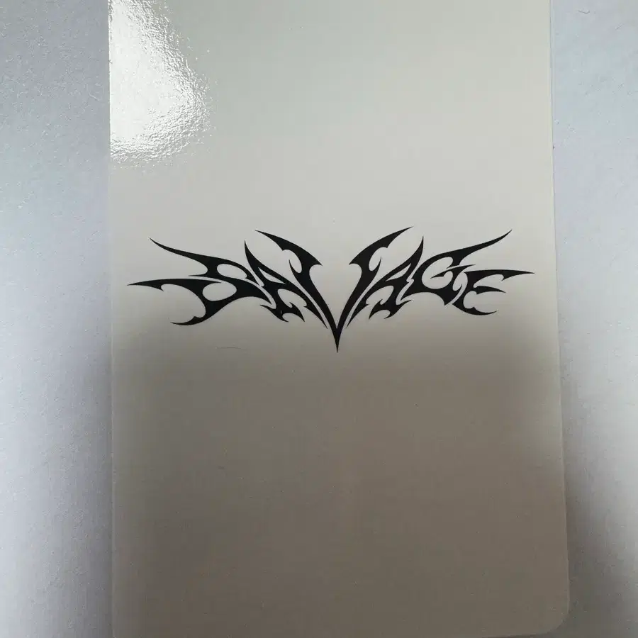 에스파 윈터 Savage SM Global shop 특전 포토카드 포카 2