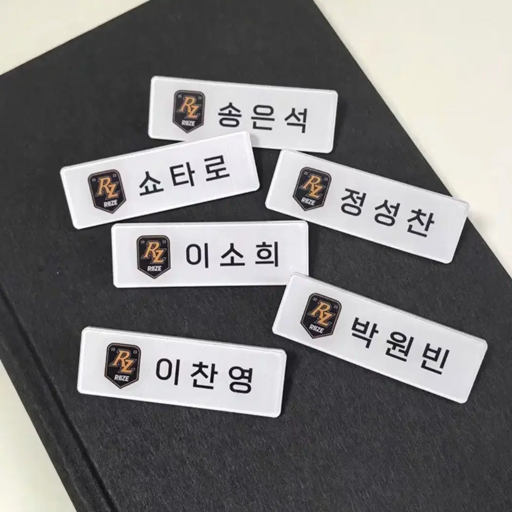 라이즈 명찰 뱃지 찬영 은석 소희 쇼타로 성찬 원빈 포카 인형 키링 2