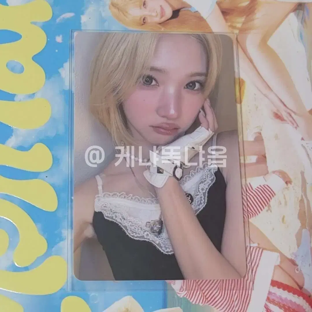 하츠투하츠 지우 뮤직아트 레몬탱 럭드 포카 양도 1