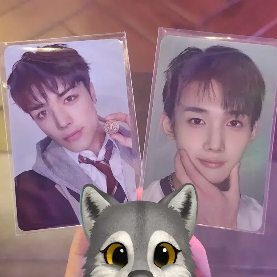 앤팀 브이알 vr 콘서트 죠 아궁빵 마키 2차 단추 포카 (내용확인)