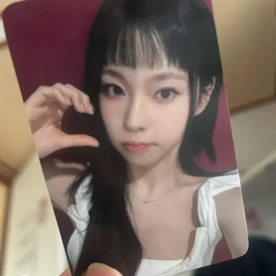 엔믹스 규진 포카
