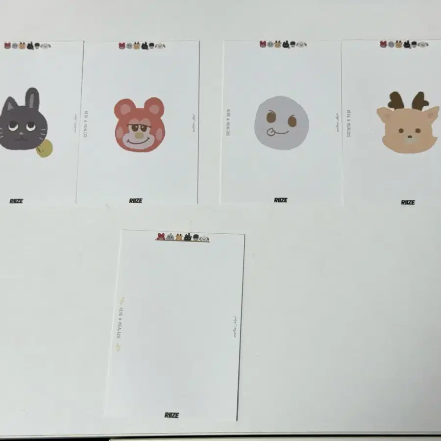 라이즈 포카 바인더 대지 + 2포켓 바인더 1