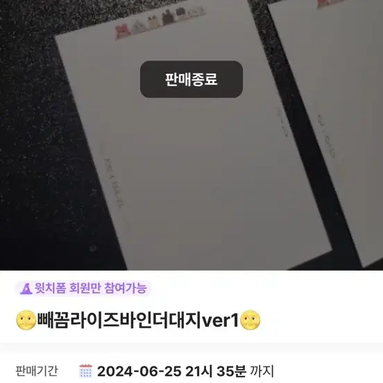 라이즈 포카 바인더 대지 + 2포켓 바인더 5