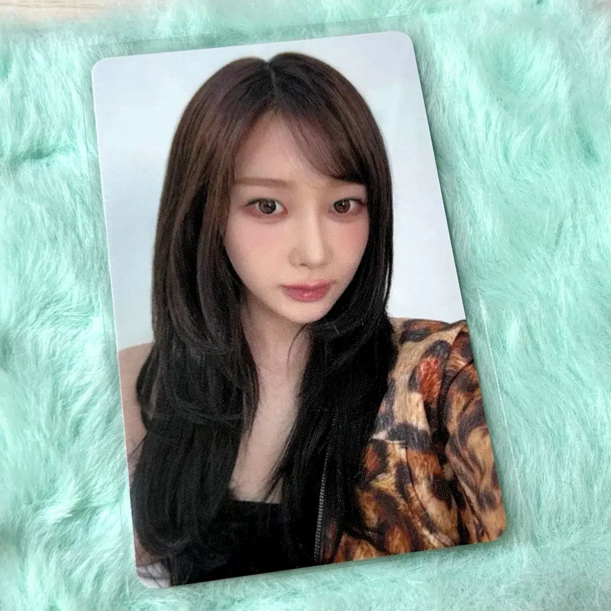 에스파 일본 투어 회장한정 지젤 포카 6000엔 구매 특전 양도 1