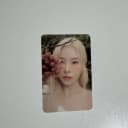 마마무 휘인포카 (mamamoo wheein) (솔로앨범공식포카) 1