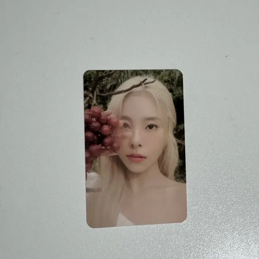 마마무 휘인포카 (mamamoo wheein) (솔로앨범공식포카)