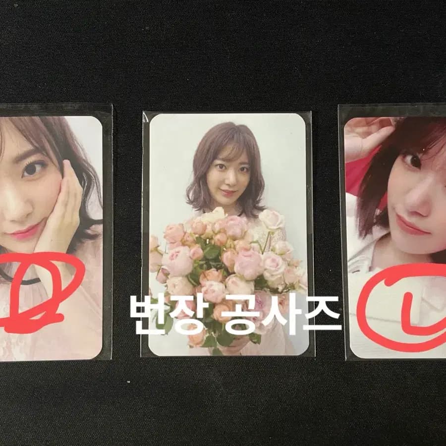 아이즈원 사쿠라 라비앙로즈 공방 팬싸 포카 1