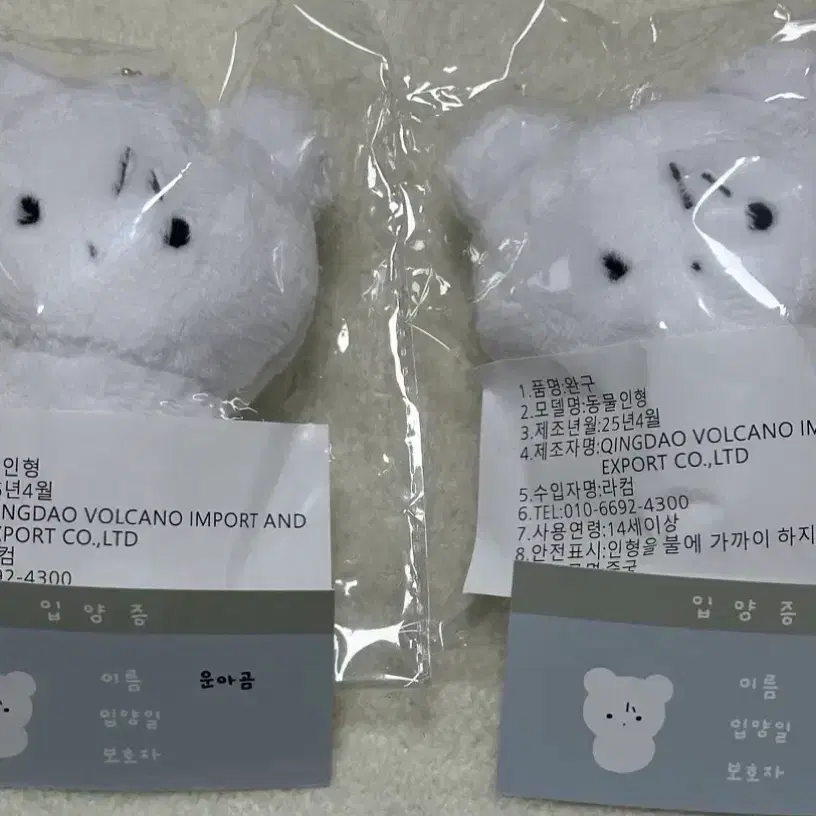 보이넥스트도어 보넥도 운학 인형 키링 운아곰 운아기 포카 포토카드 1