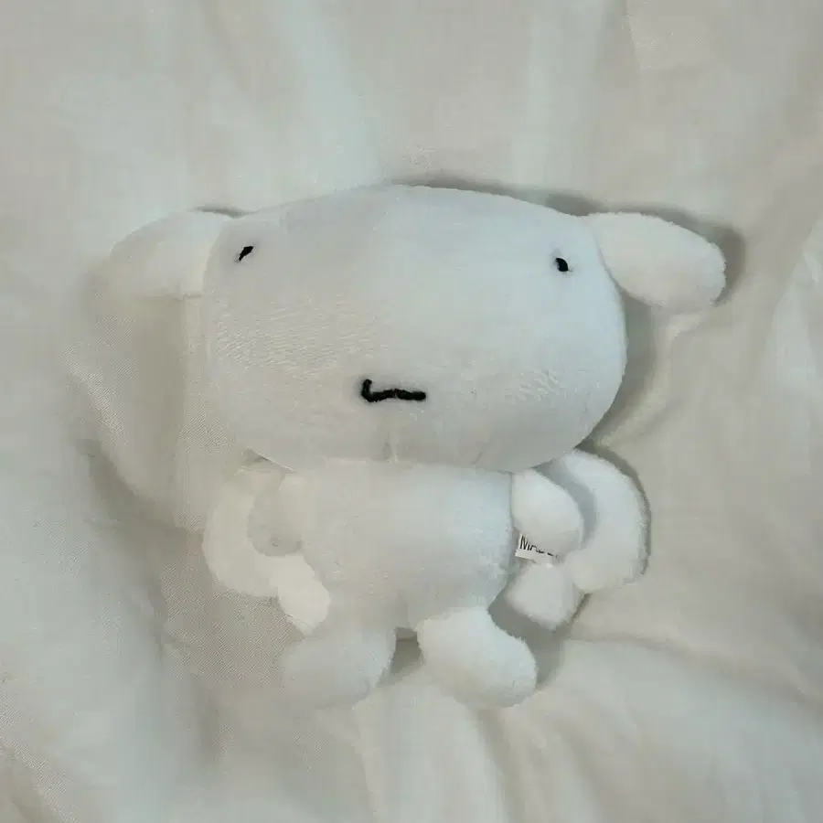 보넥도 운학 행우나 인형 키링 포카 1