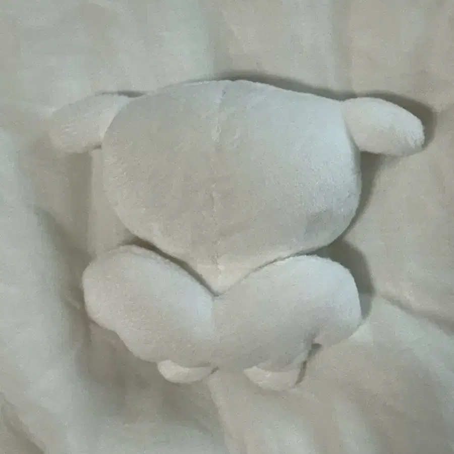 보넥도 운학 행우나 인형 키링 포카 2