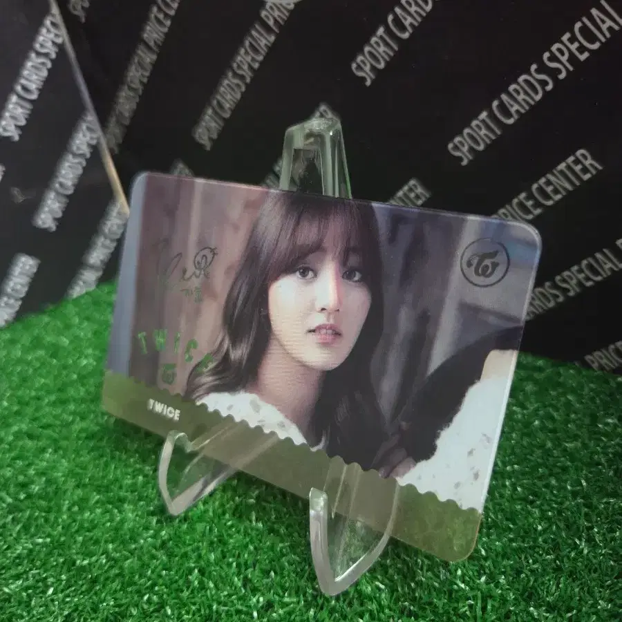트와이스 지효 포토카드 2