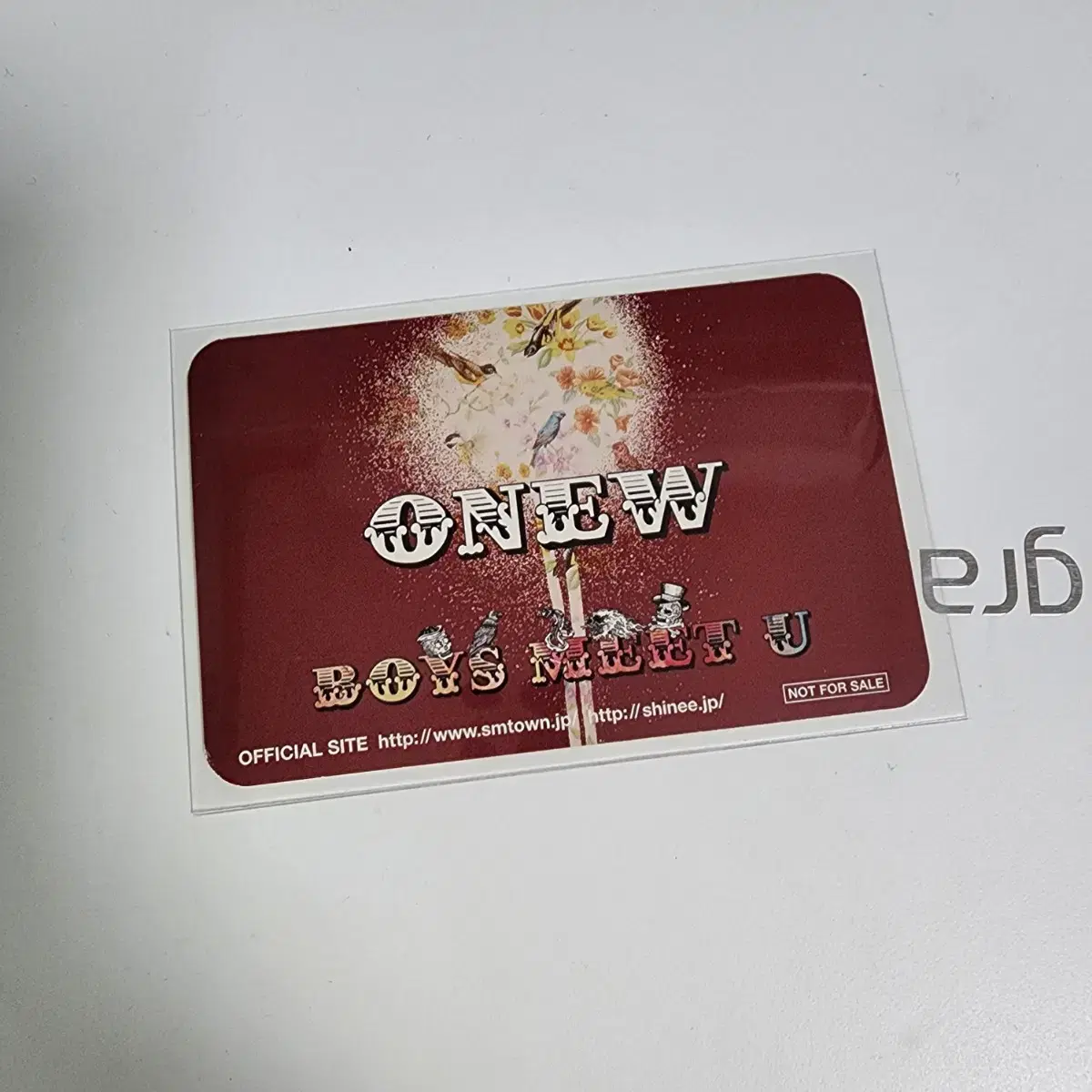 샤이니 일앨 보밋츄 온유 포카 2