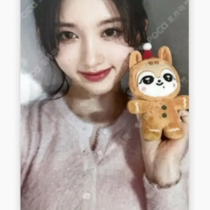 아이브 크리스마스 가을 미니브 플러시 달이인형 포카 1