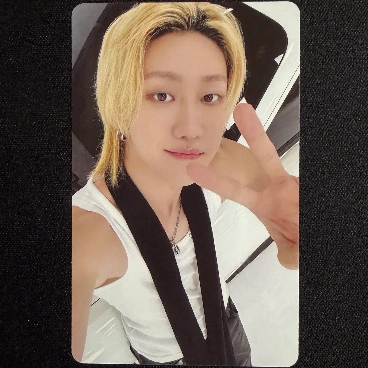 세븐틴 V8 라이브 콘서트 앨범 구매 특전 럭드 디에잇 포카 B