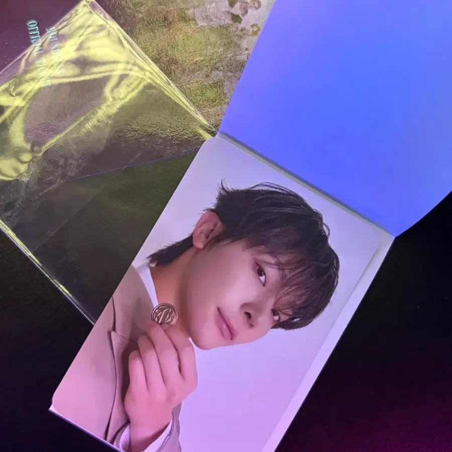 앤팀 vr 2주차 단추 니콜라스 포카 양도