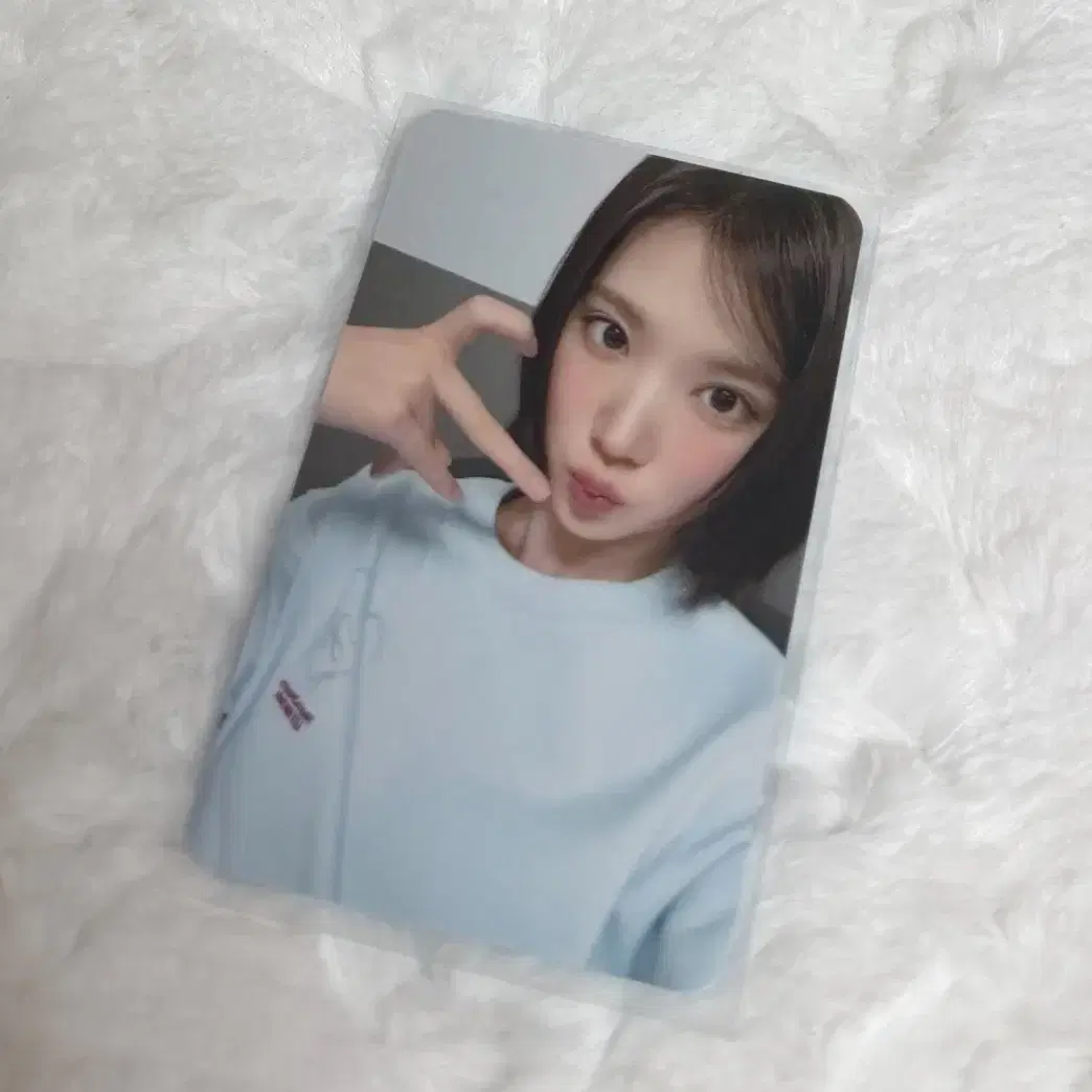 하츠투하츠 하투하 지우 릴리브라운 포카 양도 판매 1