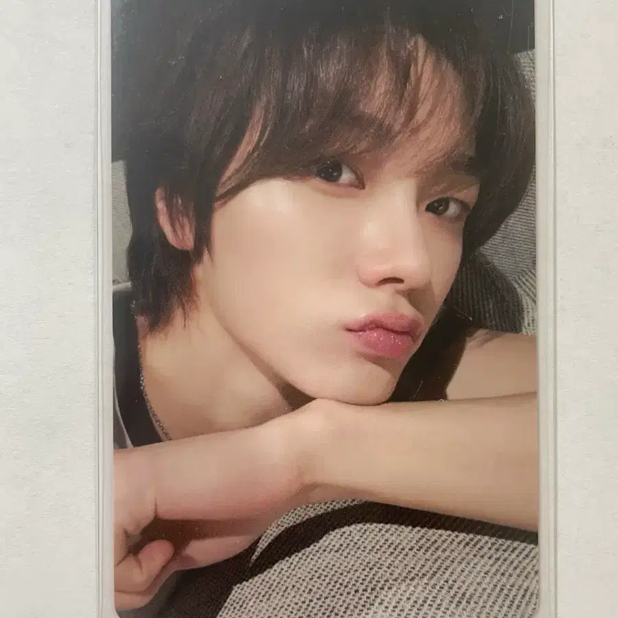 보이넥스트도어 박성호 성호 포카 포토카드