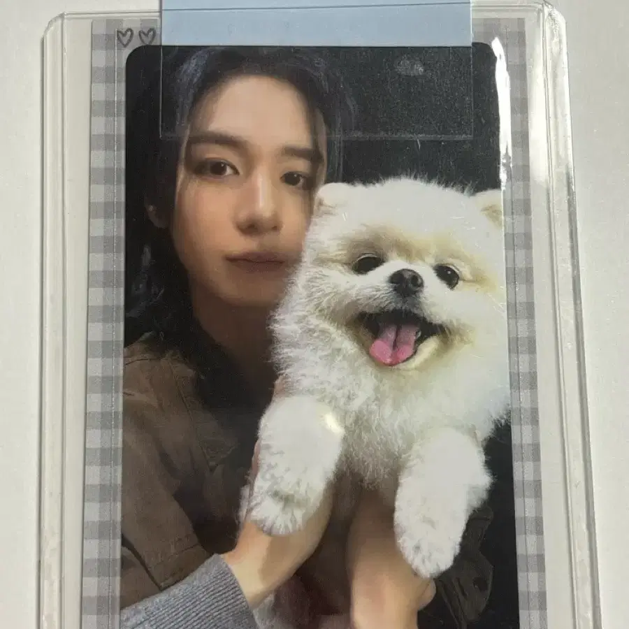 보넥도 home 특전 이한 짱이 포카 1
